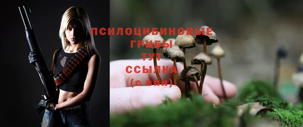apvp Осташков