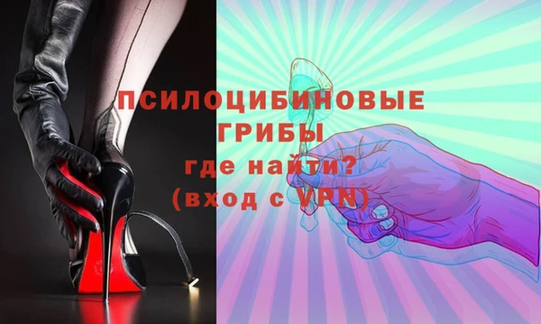 apvp Пересвет