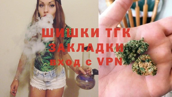 apvp Осташков